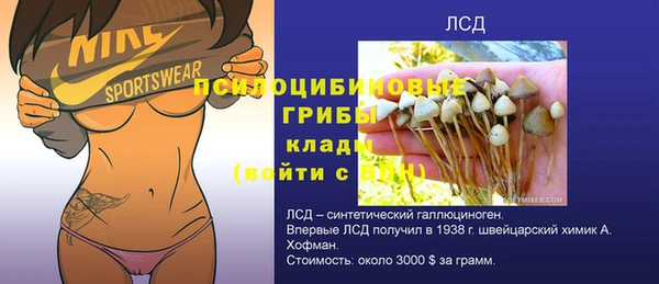 дживик Домодедово