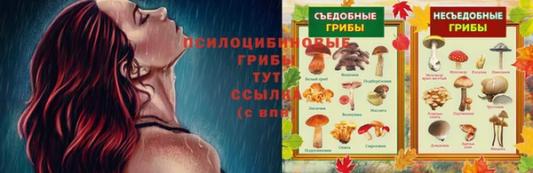MESCALINE Медногорск