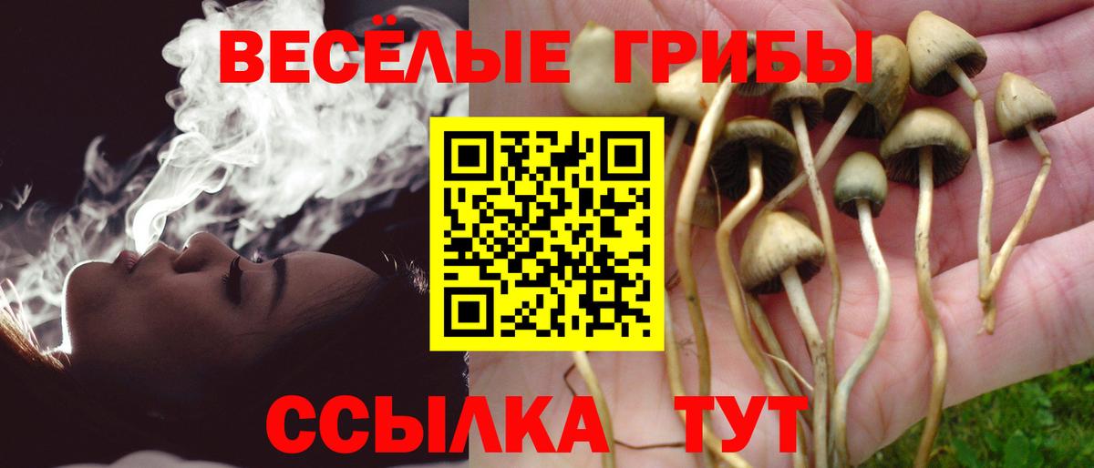 Псилоцибиновые грибы MAGIC MUSHROOMS Гусь-Хрустальный